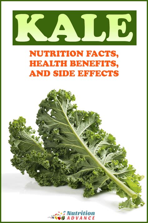 9 Health Benefits Of Kale And Full Nutrition Facts Nutrition Advance