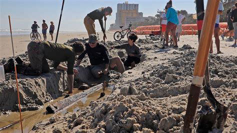 Experts Believe Mysterious Object On Florida Beach Is 1800s Shipwreck