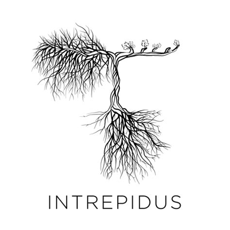 intrepidus wines iswine fine wines
