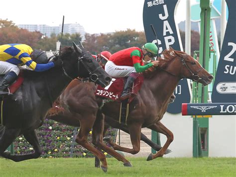 紅一点コラソンビート3連勝、レコードで重賞v 横山武騎手「想像以上のいい脚」／京王杯2歳s 2歳馬特集 競馬写真ニュース 日刊スポーツ