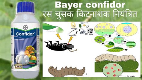 Bayer confidor insecticide Imidacloprid 17 8 SL Uses in Hindi कटनशक