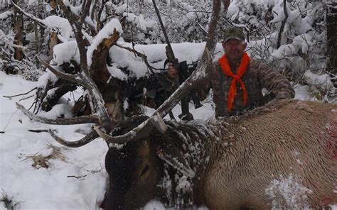 Wyoming Elk Hunting Outfitters | Best of the West Outfitters