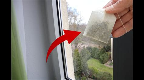 Putze DAMIT deine Fenster und STAUNE über das ERGEBNIS Genialer TRICK