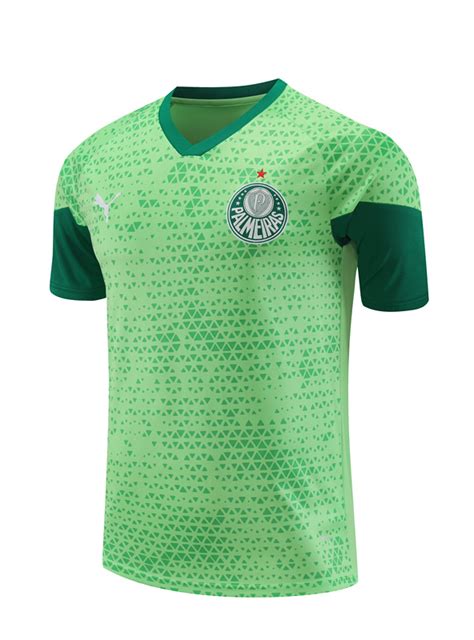 2024 2025 SE Palmeiras Light Green Thailand Soccer Jersey 418 SE