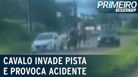 Flagra Cavalo Invade Pista Contr Ria E Provoca Acidente Primeiro