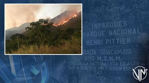 Incendios Forestales Afectan Al Parque Nacional Henri Pittier