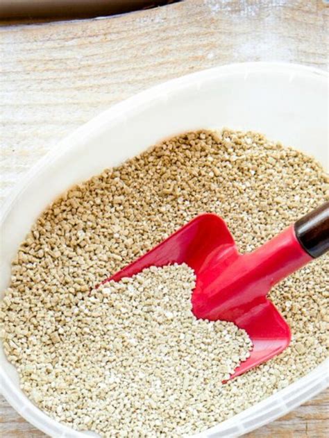 Benefits Of Vermiculite For Plants! - Organicbazar Blog