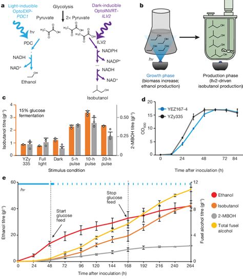 | Light-controlled isobutanol production. a, Ethanol and isobutanol ...