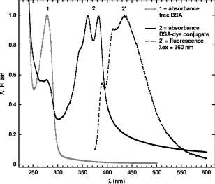 Fluorene Based Fluorescent Probes With High Two Photon Action Cross