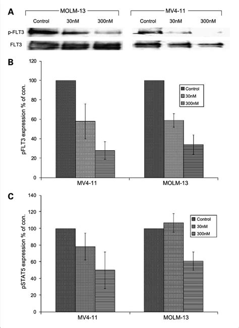 Azd1152 Hqpa Inhibits Flt3 Phosphorylation In Flt3 Itd Cell Lines Along