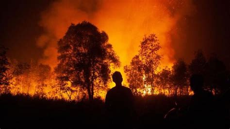 Perubahan Iklim El Nino Telah Berakhir Apa Dampaknya Dan Apa Yang