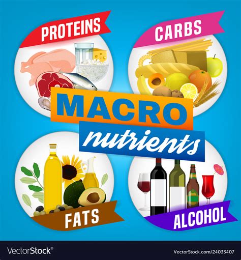 Macronutrients Square Poster Royalty Free Vector Image