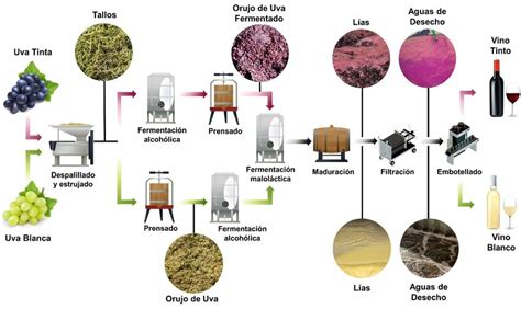 Proceso De Elaboraci N Del Vino Y Principales Subproductos Generados En