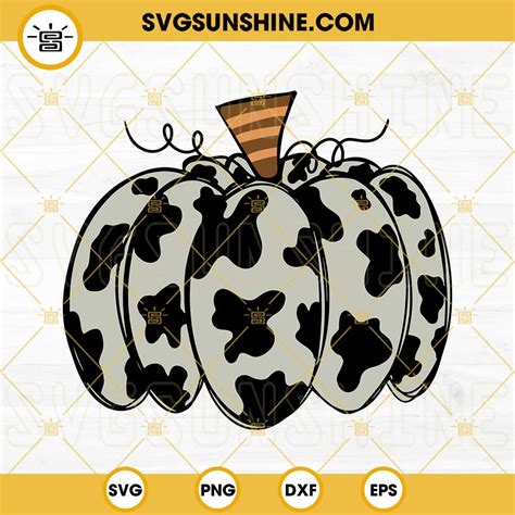 Cowhide Pumpkin Svg Dxf Eps Png Designs Silhouette Vector Clipart