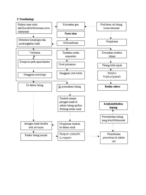 Pathway Tumor Tulang Pdf