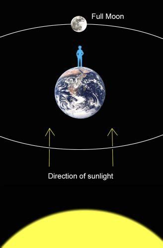 Observational Astronomy Would People On Opposite Sides Of The Earth