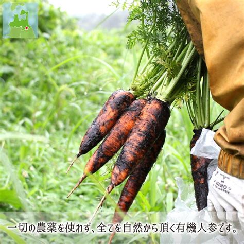 有機jas人参小 訳あり 5kg 無農薬 無化学肥料 有機栽培 青森県八戸市南郷産 にんじん 送料無料 Amnn111産直 むすび