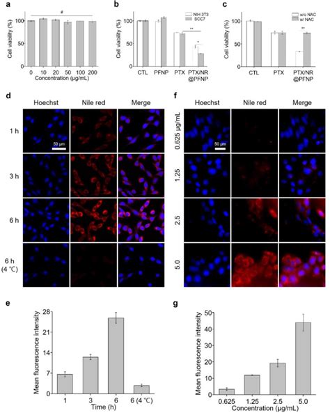 Analysis Of The In Vitro Cytotoxicity And Anticancer Activity Of