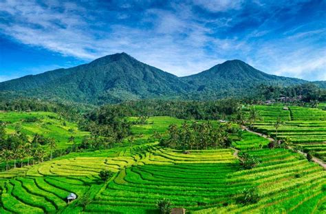 Jatiluwih Unescos World Heritage In Bali Aesthetic View With 3