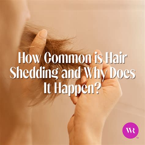 How Common Is Hair Shedding And Why Does It Happen Wicked Roots Hair™