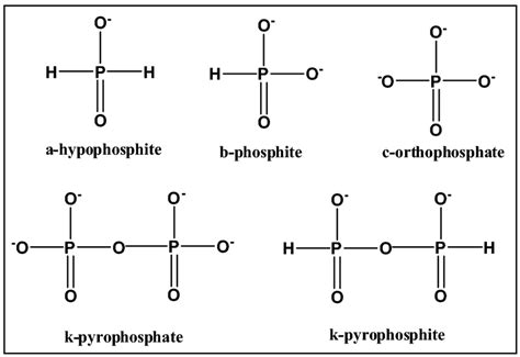 Structures of inorganic P compounds discussed in the text ...