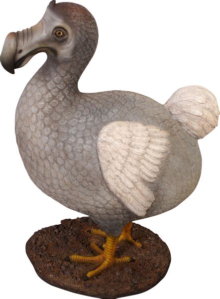 Dodo Bird Bird Prehistoric Dodo