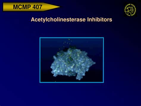 PPT - Acetylcholinesterase Inhibitors PowerPoint Presentation, free ...