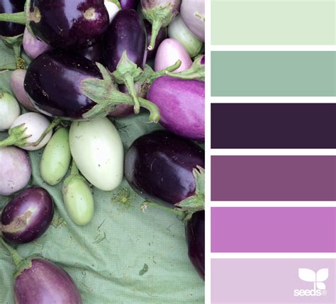 Aubergine Dreams In 2020 Seeds Color Color Schemes Design Seeds