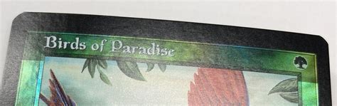 【foil】《極楽鳥 Birds Of Paradise》[7ed] 緑r 日本最大級 Mtg通販サイト「晴れる屋」