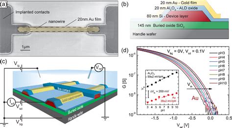 Figure From Selective Sodium Sensing With Gold Coated Silicon