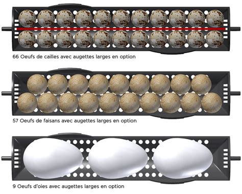 Couveuse Brinsea Ovation Co Automatique Oeufs Brinsea France