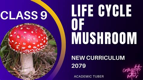 CLASS 9 LIFE CYCLE OF MUSHROOM SCIENCE AND TECHNOLOGY NEW