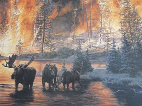 Majestic Moose Escaping 1988 Yellowstone Fires