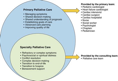 Palliative Care Across The Life Span For Children With Heart Disease A