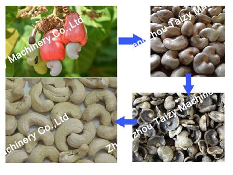 Cashew Nut Shelling Machine Cashew Cracking Machine