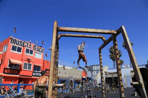 Palestra Allaperto Della Spiaggia Del Muscolo In Venice Beach Immagine