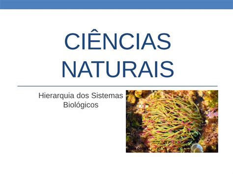 PDF Ciências naturais hierarquia dos sistemas biológicos DOKUMEN TIPS