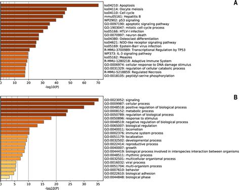 Bar Graph Of Enriched Terms Across Input Gene Lists Coloured By