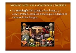 Curso De Setas Introduccion Ppt