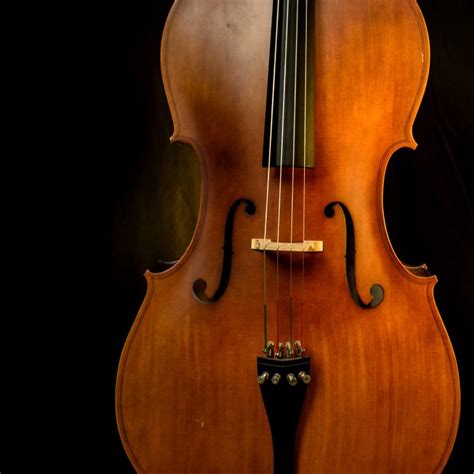 Learn Violin Viola Cello And Double Bass Coffs Harbour Conservatorium