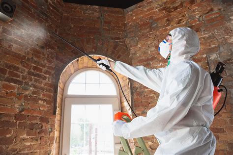 Mold Inspectors Atlanta Professional Mold Removal New Boundaries