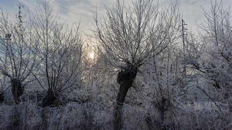 Meteo Anticiclone E Nebbie Dominano In Pianura Padana Ancora