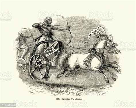 Ancient Egyptian War Chariots Stock Illustration - Download Image Now - Chariot, Ancient ...