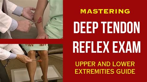 Mastering The Deep Tendon Reflex Exam Upper And Lower Extremities Guide Youtube