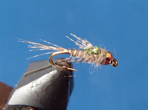 Trigger Nymph Fly Tying Fly Tying Patterns Nymph Fly Patterns