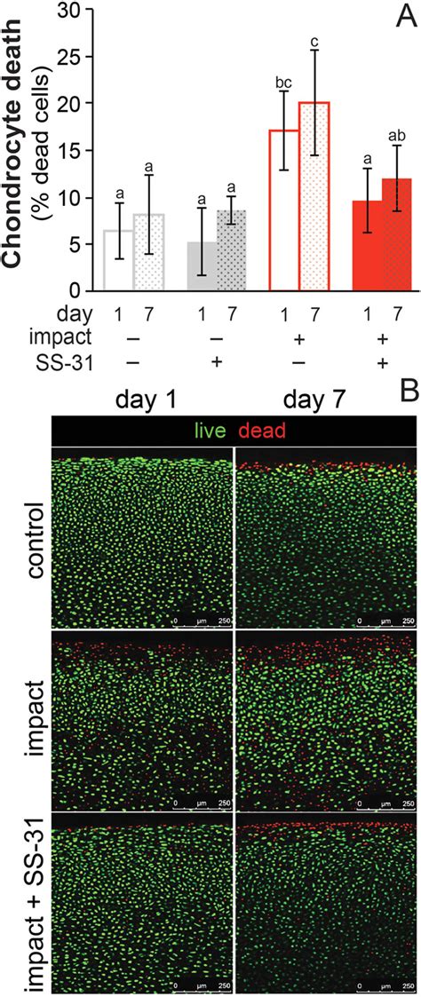 Mitoprotective Therapy Preserves Chondrocyte Viability And Prevents