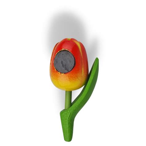 Tulip Magnets 7 Colors In Stock With Text Holland