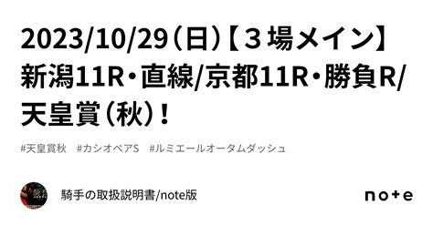 2023 10 29（日）【3場メイン】新潟11r・直線 京都11r・勝負r 天皇賞（秋）！｜騎手の取扱説明書 Note版