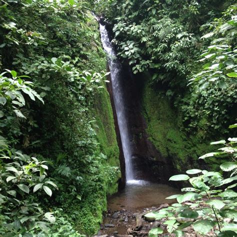 Top This ........... Arenal National Park ,Costa Rica. I'm going to go ...