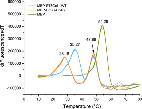 Melting Temperature T M Of Maltose Binding Protein And Mbp Fused Download Scientific Diagram